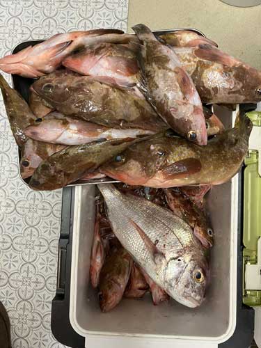 釣果