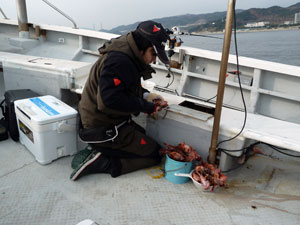 浦岡シメ姿