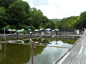 雨堤池