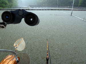 雷雨