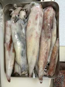 釣果