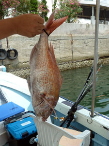 釣果